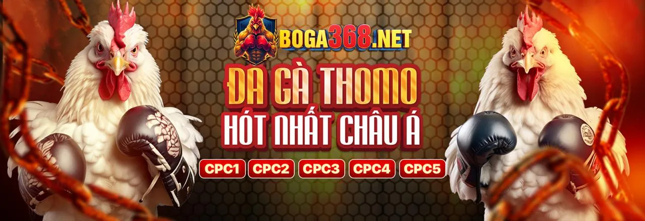 Cá cược thể thao đỉnh cao với 78WIB Code